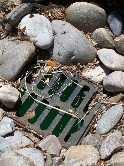 Residential sewer drain grate surrounded by rocks and debris, illustrating an outdoor sewer drainage system that may require cleaning, repair, or replacement in Metro Detroit.