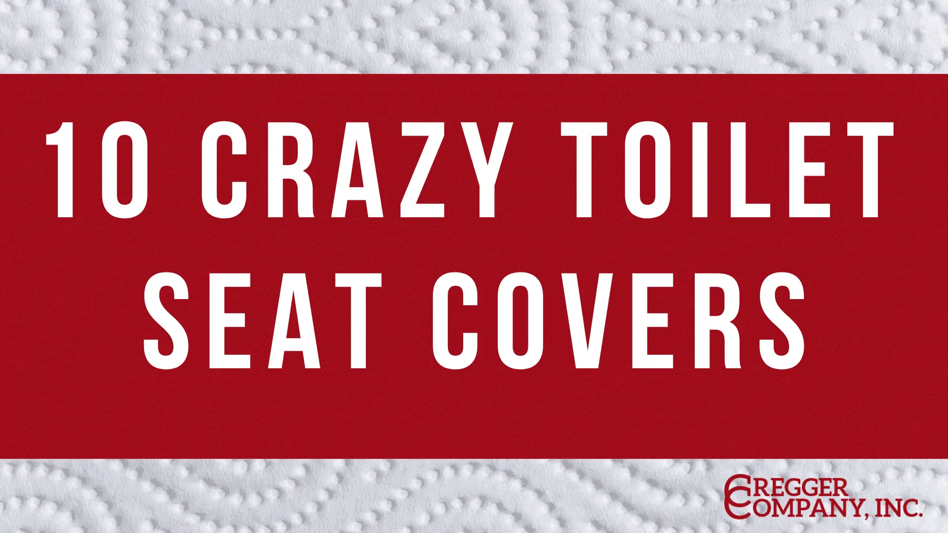 Red background with bold white text reading "10 Crazy Toilet Seat Covers." The backdrop is a white, textured paper pattern. Tone is playful and whimsical.
